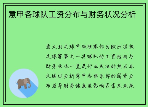 意甲各球队工资分布与财务状况分析