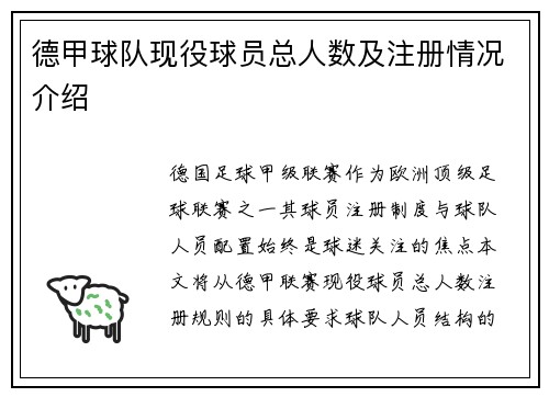 德甲球队现役球员总人数及注册情况介绍